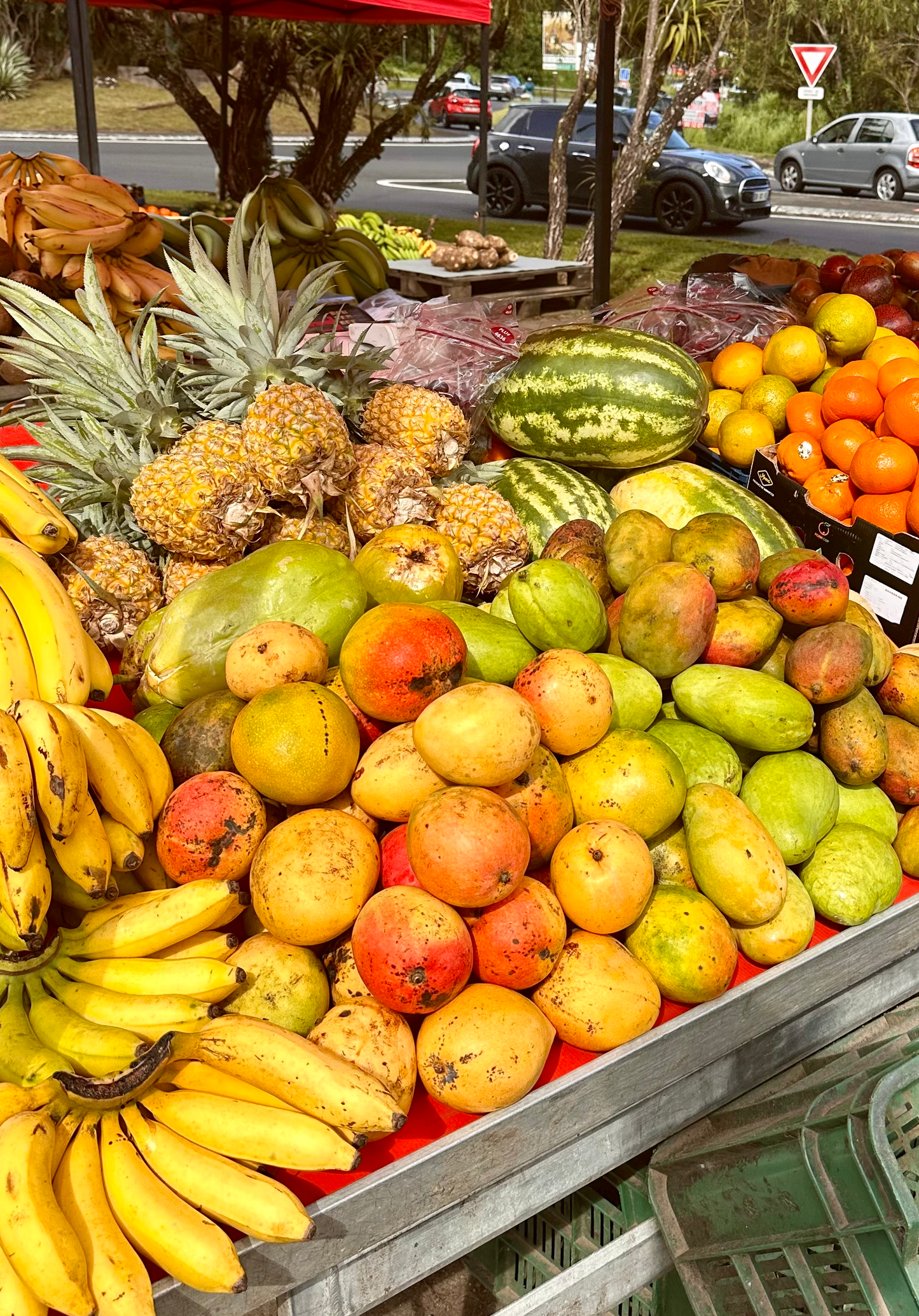 Coaching nutritionnel ponctuel — 1h30 pour reprendre ta santé en main
